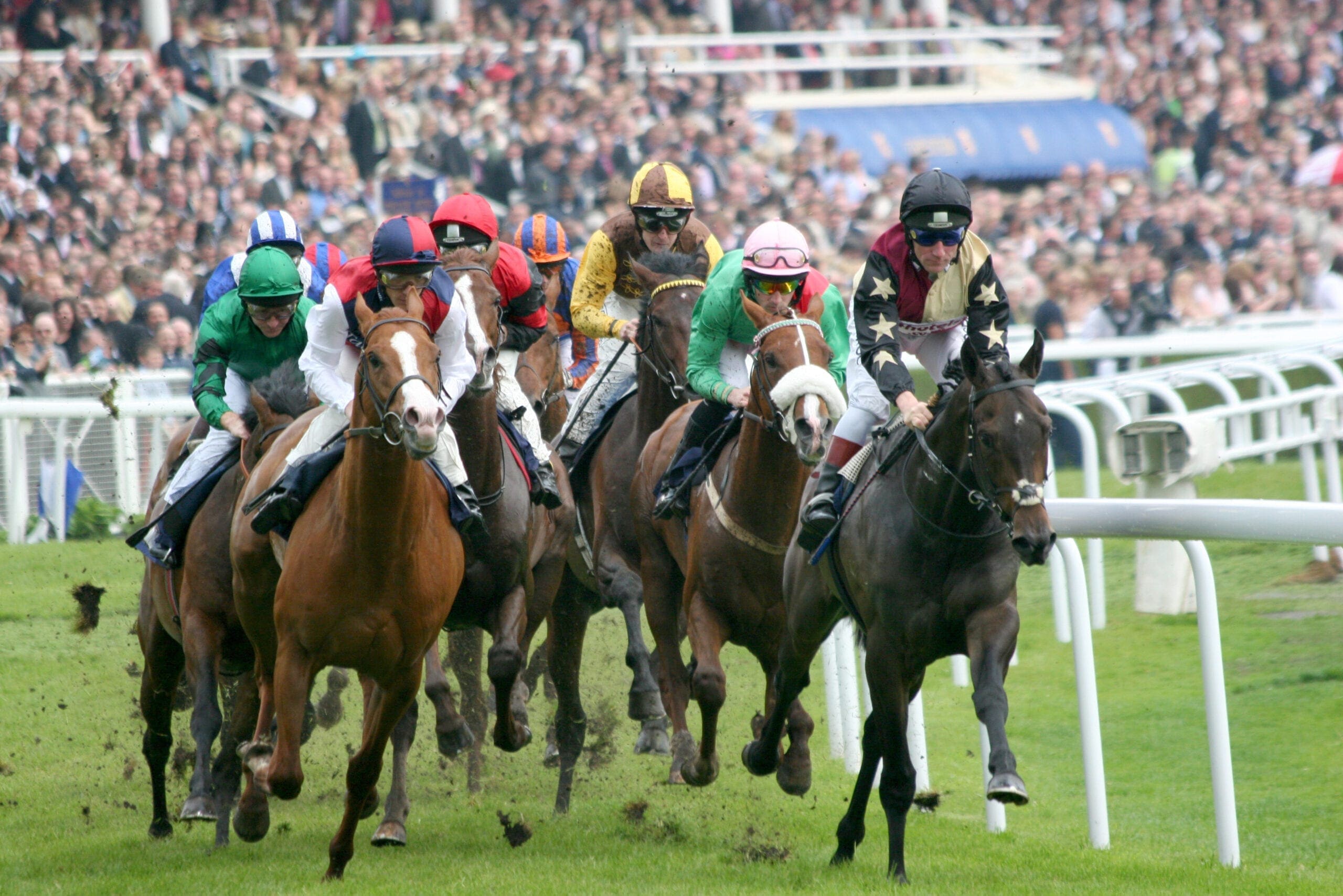 Jockeys racing on horses
