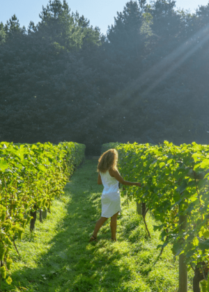 Woman in vineyard