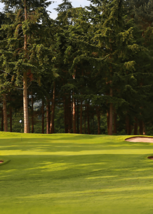 Carden Park gold resort surrounded by trees