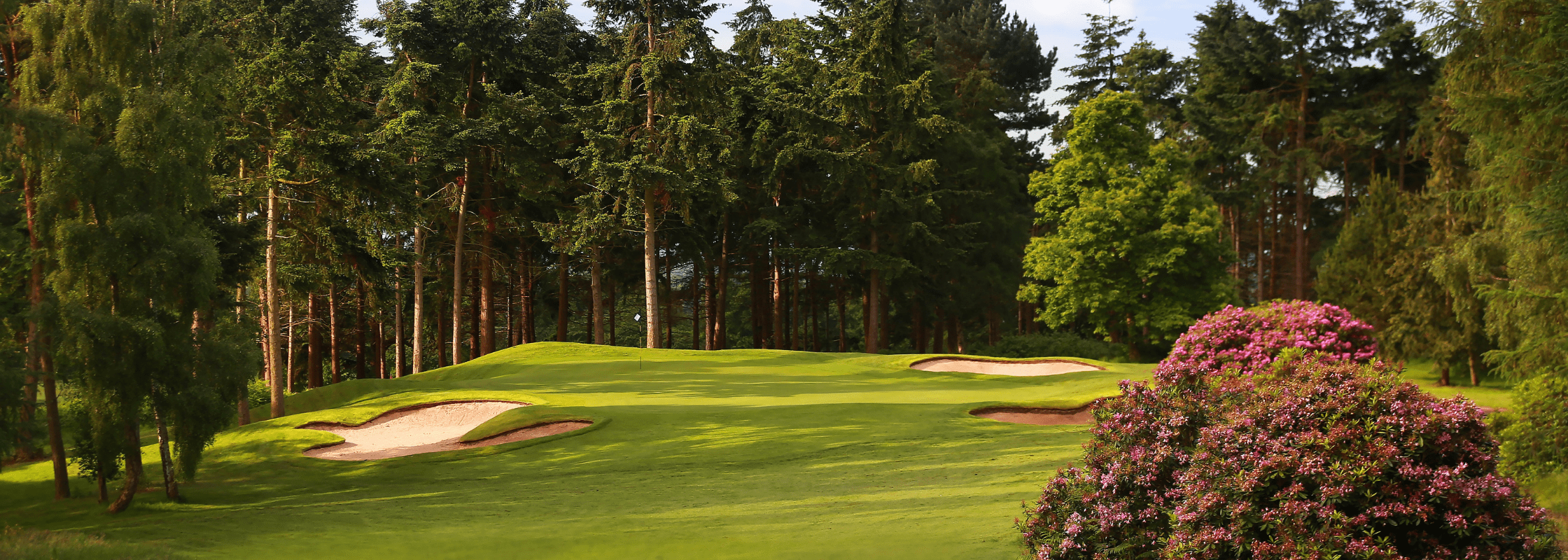 Carden Park gold resort surrounded by trees