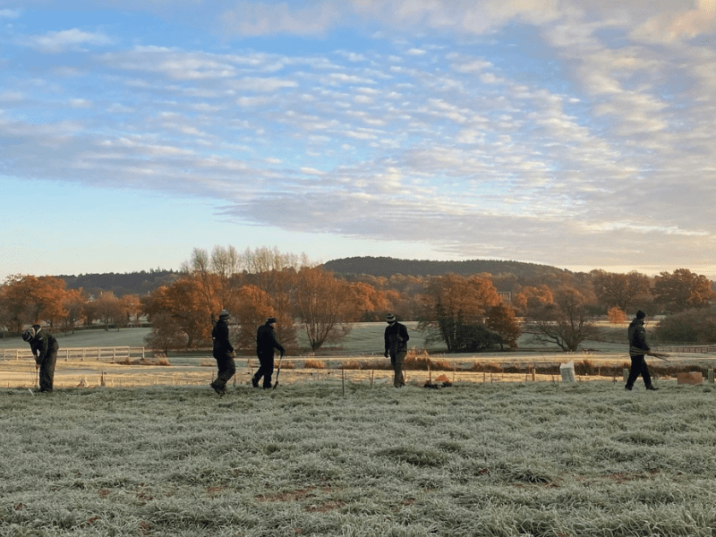 We are planting 3,000 trees this Christmas