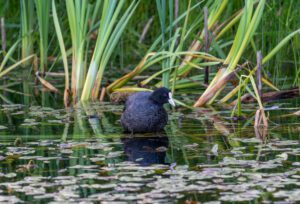 Discover the Great Outdoors: Join us on our Wildlife Trail!