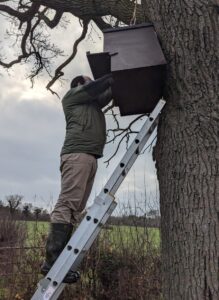 Welcoming Barn Owls to Our Estate